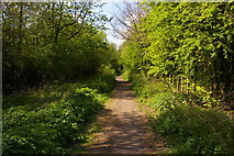TQ2391 : Path along abandoned railway line, Mill Hill by Christopher Hilton