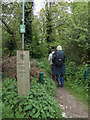 Path through Oxhey Woods, Oxhey