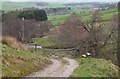 NT1937 : Track above Easter Dawyck farm by Jim Barton
