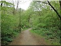 Tunbury Avenue, Walderslade Woods