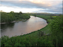 NT8439 : River Tweed at Coldstream by G Laird