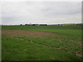 View towards Manor Farm