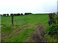 H4075 : An open field, Dunwish by Kenneth  Allen