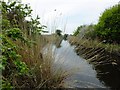 Holland Brook