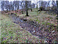 Drainage channel in Glen Douglas