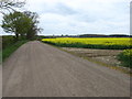 The bridleway to Lodge Farm