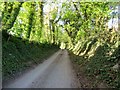 Chanctonbury Ring Road