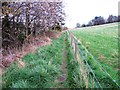 Path in Falkland