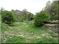 The bed of the former Thames and Severn Canal