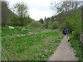 Walking beside the Thames & Severn Canal