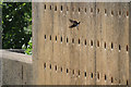 SP8864 : Sand Martin Wall by Malcolm Neal