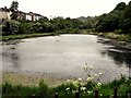 Upper Clive Vale reservoir