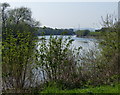 The River Trent at Morton