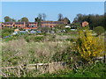 Allotments next to the River Trent