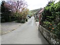 Royal Terrace, Falkland