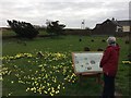 Quaker Burial Ground, Beckfoot