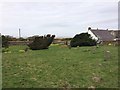 Quaker Burial Ground, Beckfoot