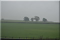 North Devon Farmland