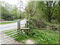 Footpath reaches Back Lane