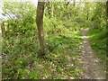 Footpath going eastwards towards Ardingly Road