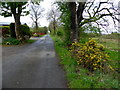 Crocknacor Road, Killycurragh