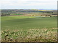 NT5776 : East Lothian landscape by M J Richardson