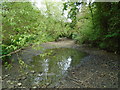 River in drought 9 - looking east from near Broad Colney lake