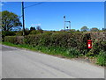 Queen Elizabeth II postbox in a hedge, Cynghordy, Carmarthenshire