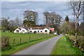 Road past Wells Stables near Bedrule