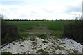 Fields off the Laytham road