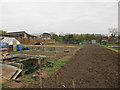 Allotments at Weedon Lois