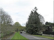 J4846 : The western end of Quoile Road, Downpatrick by Eric Jones