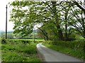 Country road at North Nibley