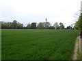 Field by the footpath to Burton Pynsent monument