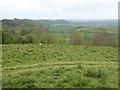 Somerset Levels from Burton Pynsent monument