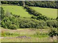 Pond in Bourne Valley