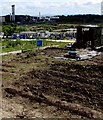 Wilfred Street side of allotments, Barry