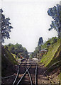 Mid-Hants Railway: approaching Medstead from the tunnel, 2010