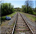 Heart of Wales Line railway from Cynghordy towards Llandovery