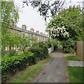 Cherry Hinton: footpath and terrace