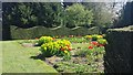 Flower bed, Harris Garden, Whiteknights Park, University of Reading