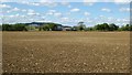 Arable land near Admington