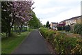 SK5350 : Cycle and foot path beside Bishop's Way by David Lally