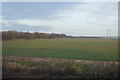 TA0457 : Field of crops by N Chadwick