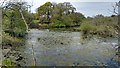 Chard Pumping Station settling lagoon