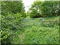 Dismantled railway near Ilmington