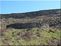 NY9150 : Sheepfold above the head of the glacial meltwater channel by Mike Quinn