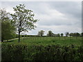 House near Highfields Farm