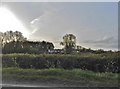 View by Blois Road, Steeple Bumpstead