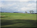 Strathmore Golf Centre, 11th hole, Powderwells